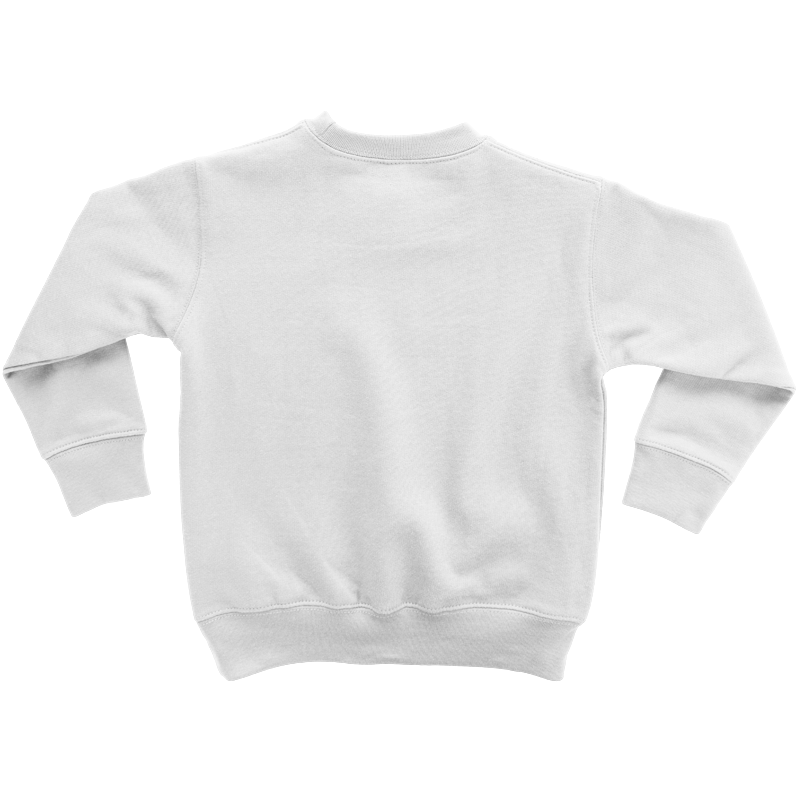 toddler-sweatshirt-bk